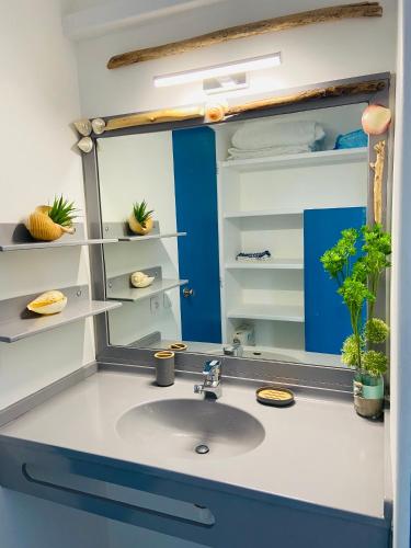 La salle de bains est pourvue d'un lavabo et d'un miroir. dans l'établissement Koala Room, au Diamant