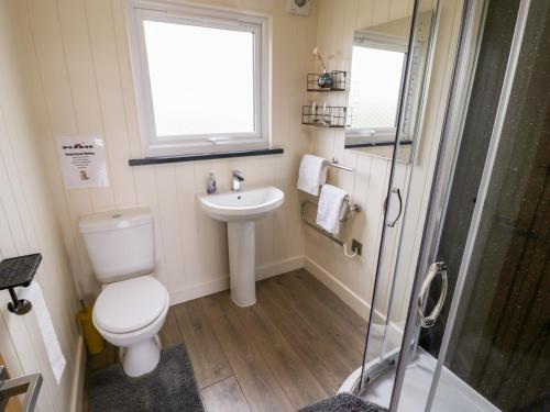 a bathroom with a toilet and a sink and a shower at Cotswold View 4 in Evesham