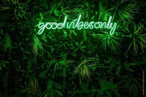 a green sign that says good vibesonly on a plant at CosyRouen Bali Jacuzzi & Hamman in Rouen