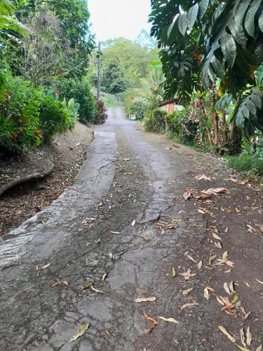 an old road with a lot of water on it at La Poulette amazonienne in La Mauny