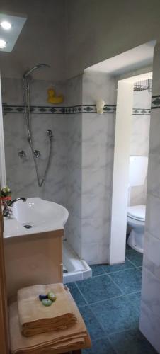 Bagno di La Casa del Nonno - Tiny House