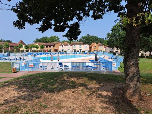 une piscine avec des chaises bleues et un arbre dans l'établissement Residence du lac Mondesir, à Monflanquin