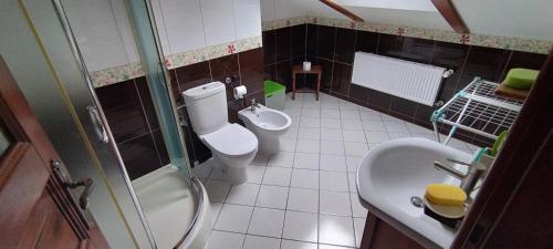a bathroom with a shower and a toilet and a sink at Przysiółek Jabłonowice in Kierzkowo