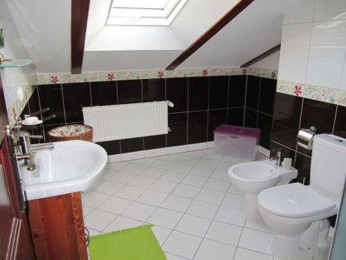 a bathroom with a toilet and a sink at Przysiółek Jabłonowice in Kierzkowo