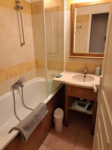 une salle de bain avec une baignoire, un lavabo et un miroir dans l'établissement Residence du lac Mondesir, à Monflanquin