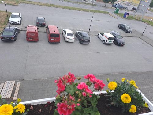 a group of cars parked in a parking lot at Motell Svinesundparken in Halden
