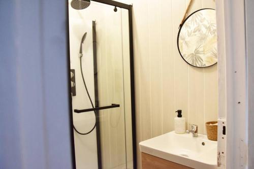 een badkamer met een douche en een wastafel bij Appartement 4 Chambres in Champigny-sur-Marne
