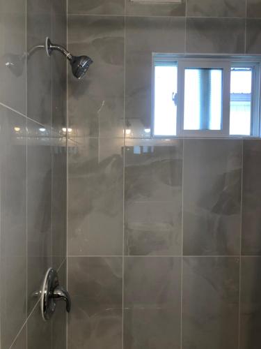 ducha con puerta de cristal y ventana en Bavarian Orchard Motel, en Creston