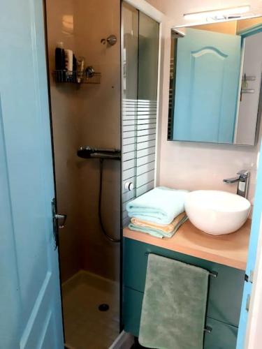 une salle de bain avec un lavabo et un miroir dans l'établissement Charmant petit studio tout équipé, à Pantin