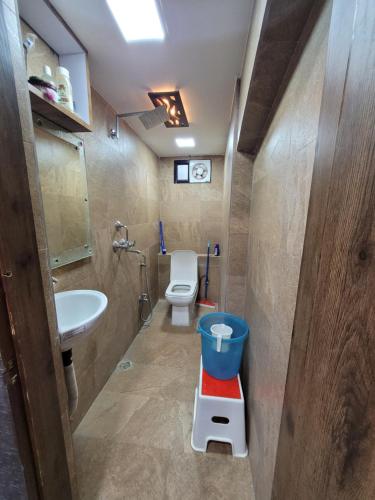 La petite salle de bains est pourvue de toilettes et d'un lavabo. dans l'établissement Gupta Residence., à Dhanbād