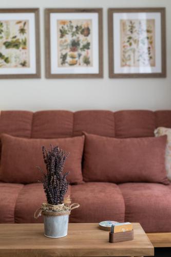 Le Provençal de COUP DE COEUR APPARTEMENTS photo 15
