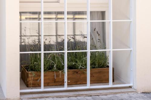 Le Provençal de COUP DE COEUR APPARTEMENTS photo 28