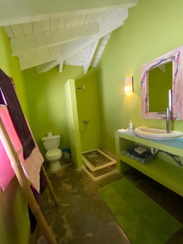 La salle de bains verte est pourvue d'un lavabo et de toilettes. dans l'établissement Guestroom los gorgones, à Las Galeras