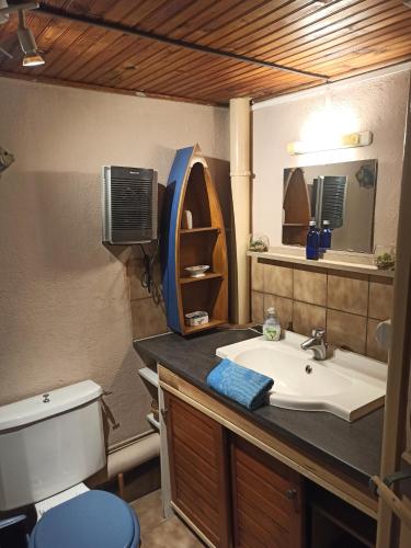 a bathroom with a sink and a toilet and a mirror at Maison familiale centenaire de vigneron in Montescot