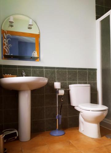 a bathroom with a sink and a toilet and a mirror at El Balcón de Cabezuela Valle del Jerte in Cabezuela del Valle
