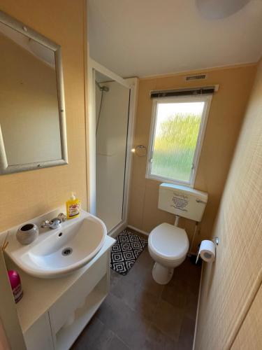 a bathroom with a sink and a toilet and a mirror at Jone’s Cove in Swanage