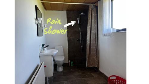 a bathroom with a shower and a toilet and a sink at Cozy Holeby House Close to Puttgarden & Femern in Holeby
