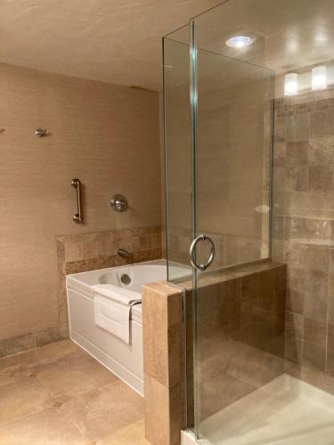 a bathroom with a shower and a bath tub at Blue Dolphin Inn in Cambria