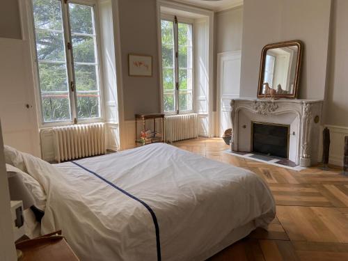 a bedroom with a bed and a fireplace and a mirror at Beau château dans le Cantal au coeur du Pays Vert in Naucelles