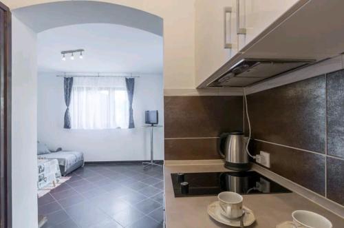 una pequeña cocina con fregadero y una habitación con cama en Apartments Gabi, en Pula