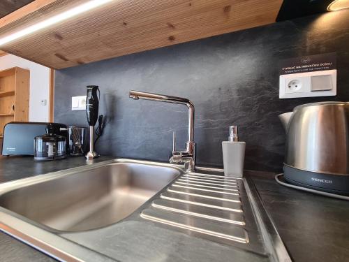 a kitchen counter with a sink and a mixer at CHALET ASKALA JASNÁ in Demanovska Dolina