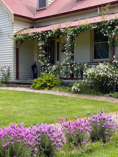 a house with pink flowers in the yard at Cambridge House Breakfast & Bed in Geeveston