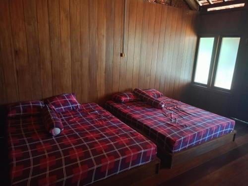 two beds in a room with wooden walls and windows at JN Cottage dan Camping Ground in Karimunjawa