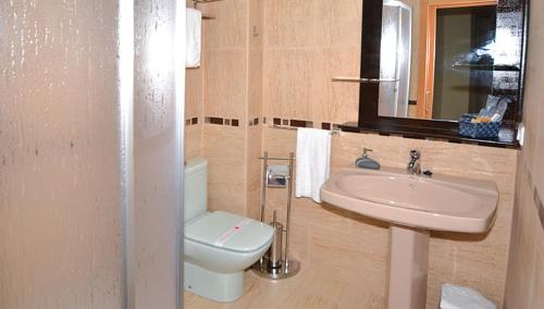 uma casa de banho com um WC branco e um lavatório. em Apartamentos Turisticos Dormi2 em Zamora