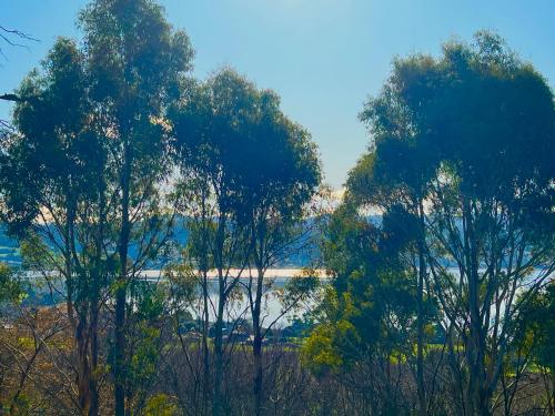 a group of trees in front of a body of water at Cloud Nine Apartment @ Tamar Ridge in Grindelwald