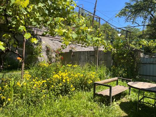 Сад в Borjomi Makvala's Guest House