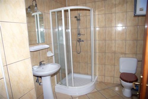ラシュノフにあるCasa Ducarのバスルーム(シャワー、洗面台、トイレ付)
