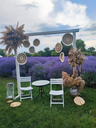 Zahrada ubytování Grădina Magică a Lavandei Glamping