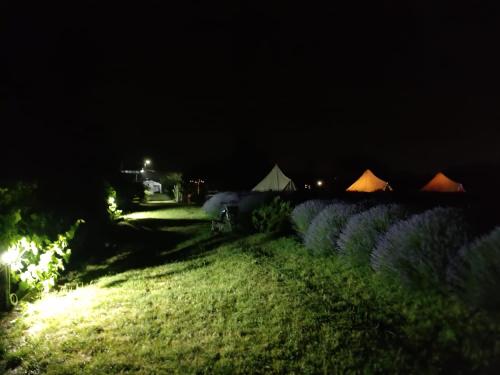 Zahrada ubytování Grădina Magică a Lavandei Glamping