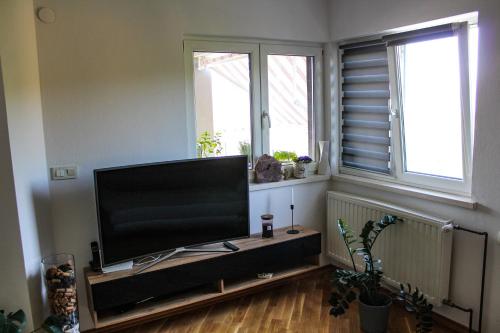 een woonkamer met een grote flatscreen-tv bij Apartman Marija in Korčula