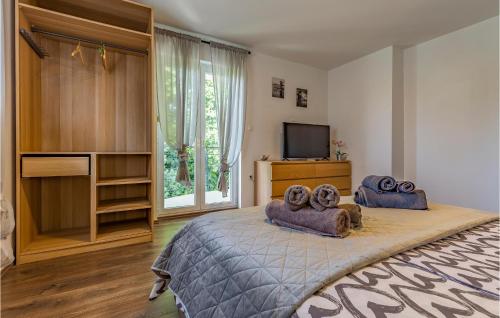 a bedroom with a large bed and a television at Gorgeous Home In Sisan With Kitchen in Šišan