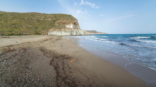 a beach with a large rock in the ocean at Hotel Calachica Las Negras in Las Negras