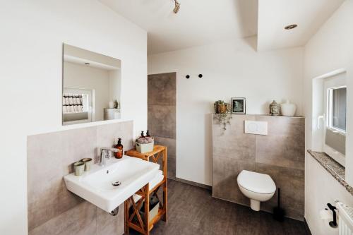 La salle de bains est pourvue d'un lavabo et de toilettes. dans l'établissement Mainterrasse Panorama Apartments, à Miltenberg