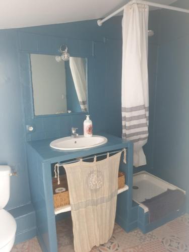 La salle de bains bleue est pourvue d'un lavabo et d'un miroir. dans l'établissement Chez Nathalie, à Maussane-les-Alpilles