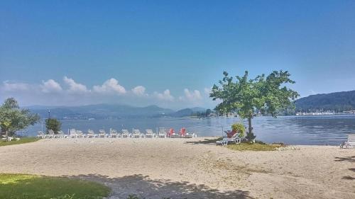 a beach with chairs and a tree and water at Lake Maggiore 2 Minutes Apartment in Dormelletto