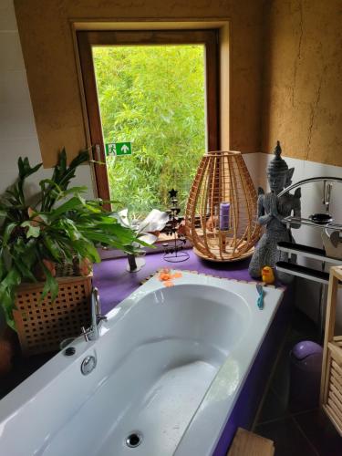 een badkamer met een bad en een raam bij Purple Papillon in Heuvelland