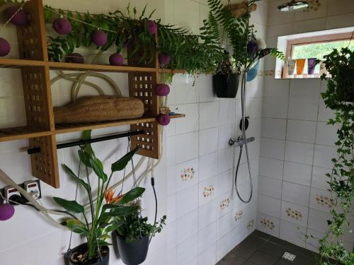 a bathroom with potted plants on the wall at Purple Papillon in Heuvelland