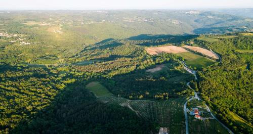 Příroda nedaleko vily