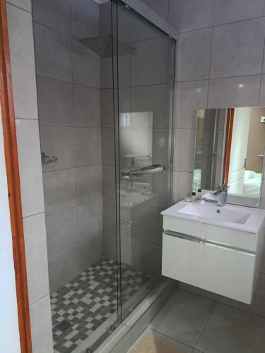 a bathroom with a shower and a sink at Franque Lodge in Durban