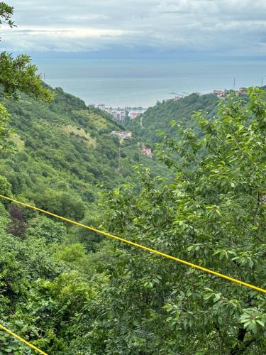 uma tirolesa nas árvores de uma montanha em Yomra / Trabzon em Yomra