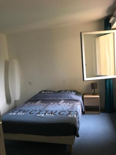 a bedroom with a bed and a large mirror at Appartement Toulouse Jardin St Martin in Toulouse