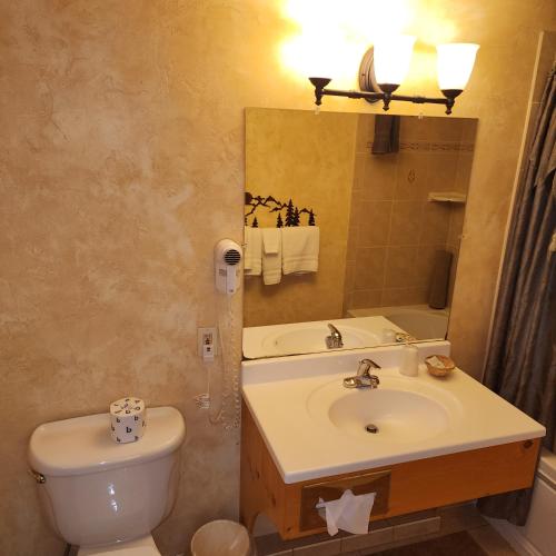 Bilik mandi di Canyon Motel near Rocky Mountain National Park