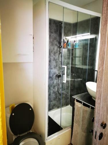 une salle de bain avec une douche, des toilettes et un lavabo dans l'établissement Joli studio cabine dans résidence en bord d'étang, au Barcarès