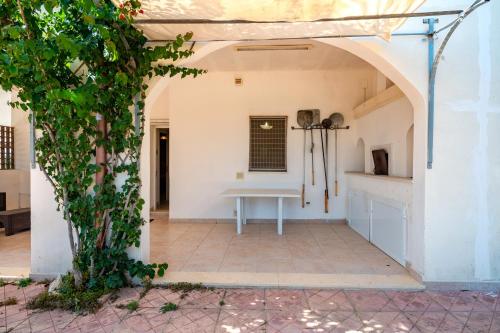 Bouganville – Photos 2