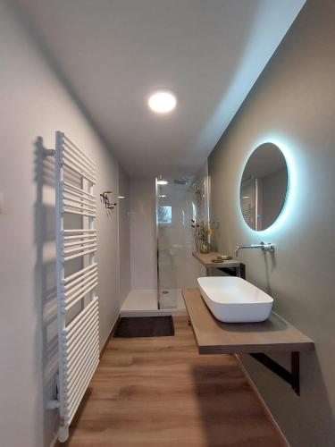 a bathroom with a sink and a mirror at Vakantiewoning Barrage27 in Houffalize