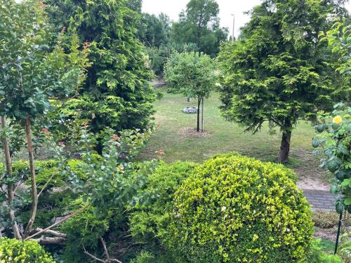 A garden outside Nefelejcs Apartman